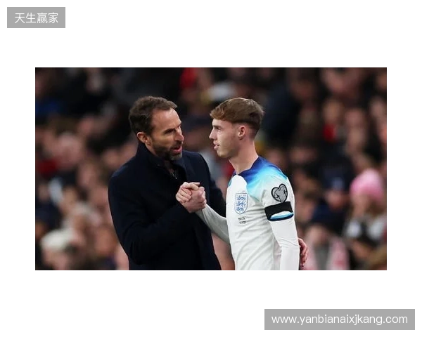 图赫尔谈10号位:一阶段考察帕尔默&福登;二阶段贝林&罗杰斯 图赫尔谈10号位:一阶段考察帕尔默&福登;二阶段贝林&罗杰斯