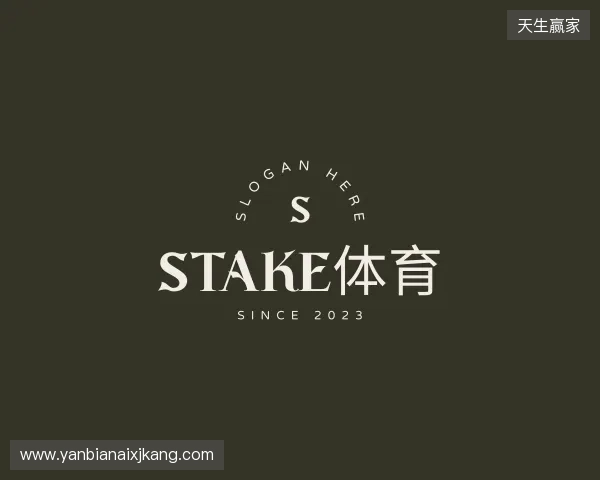 认识Stake